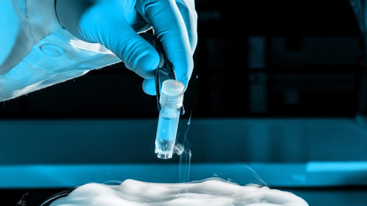 Embryo Freezing in India Embryo Freezing in India