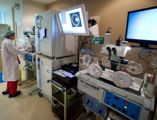 IVF Lite Cost – Far Affordable than Conventional IVF Cost