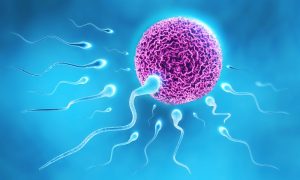 Male Infertility Treatment in Mumbai