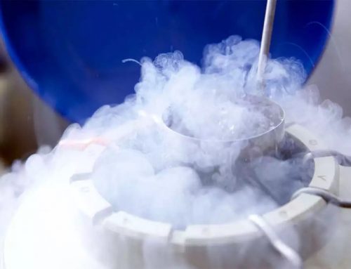How Egg Freezing can Help in Fertility Preservation?