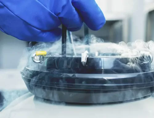 Egg Freezing Vs Sperm Freezing: All You Need to Know