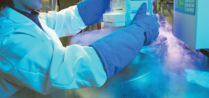 cryopreservation centres in India 